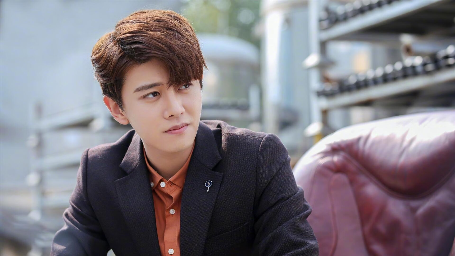 体育赛事保险服务体系设计与风险评估模型，体育赛事的风险管理