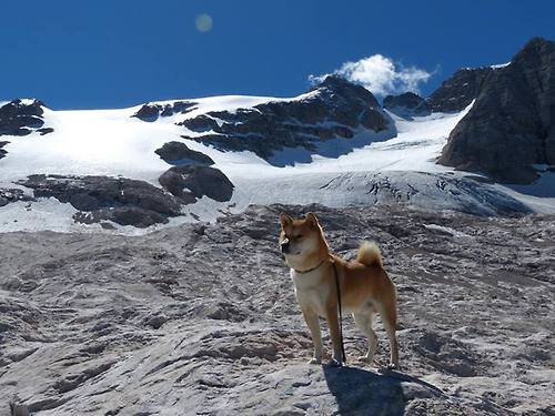 国足对阵强队时技战术执行变化趋势，国足对战表