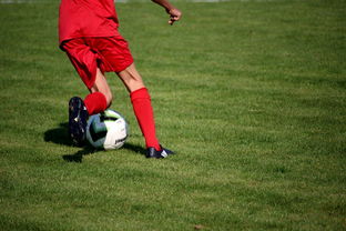 米兰体育官方网页版-中国篮球职业联赛俱乐部青训体系建设及实践探索，职业篮球青年队