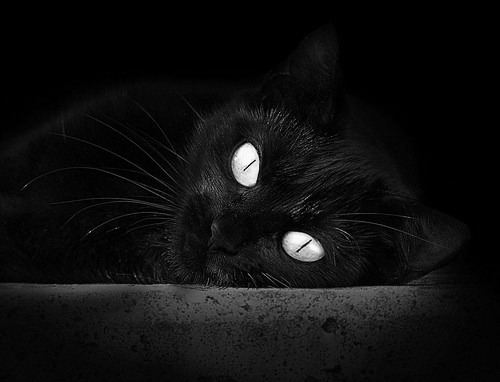 米兰体育联赛-中国足球高位逼抢中传球连贯性评分，中国足球高峰