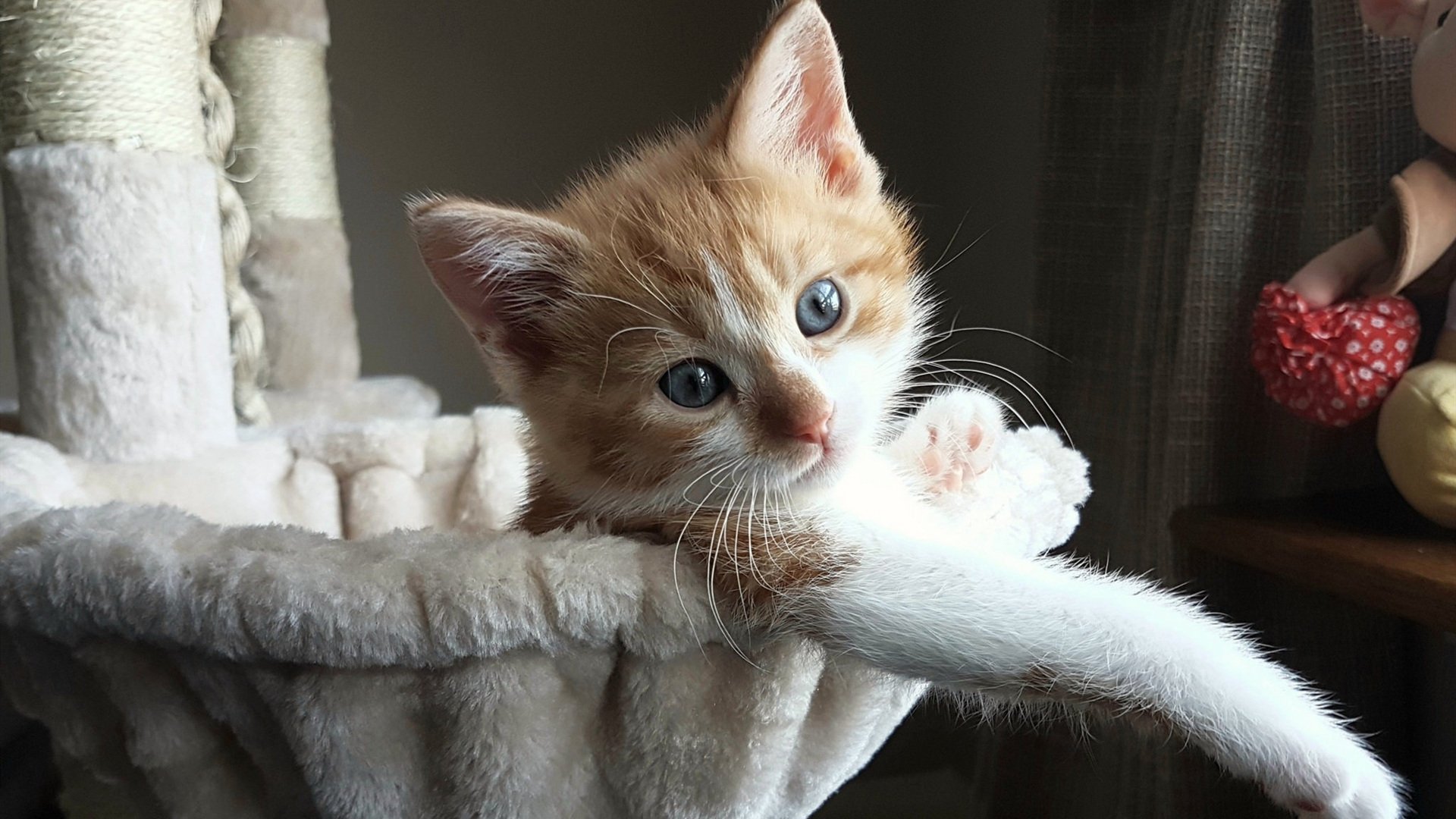 米兰体育网址-体育场馆智能维护管理技术应用，智能体育场馆管理系统