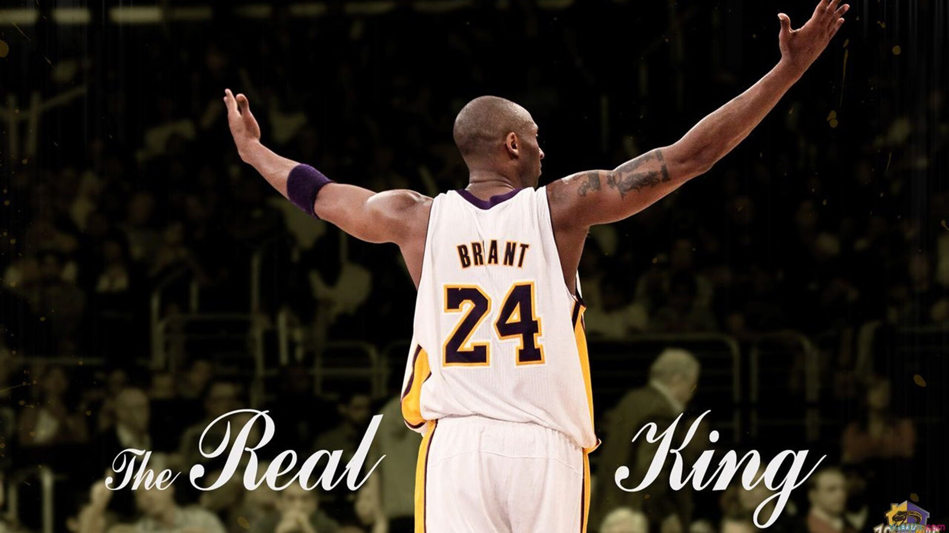 体育场馆智能维护管理技术应用，智能体育场馆管理系统