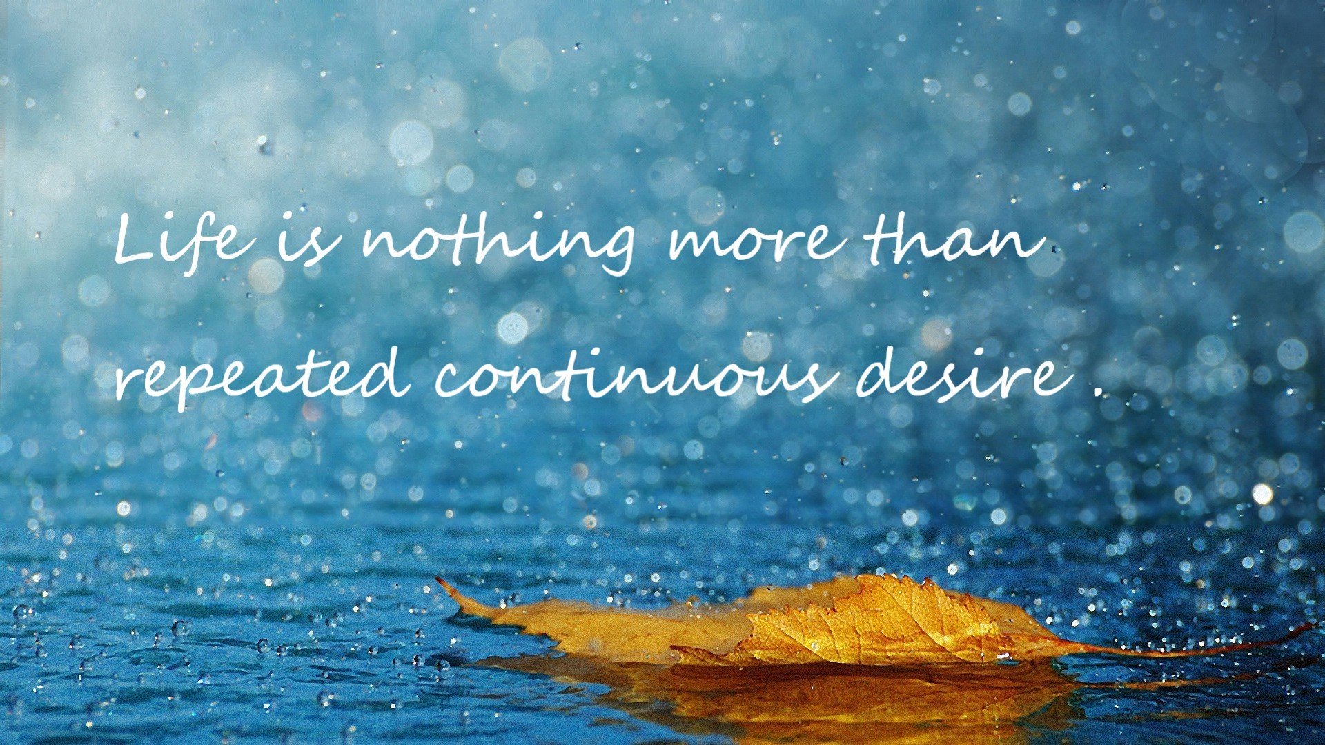 米兰体育在线-体育类专业实践课程比例调整与实效评估，体育类专业实践课程比例调整与实效评估方案